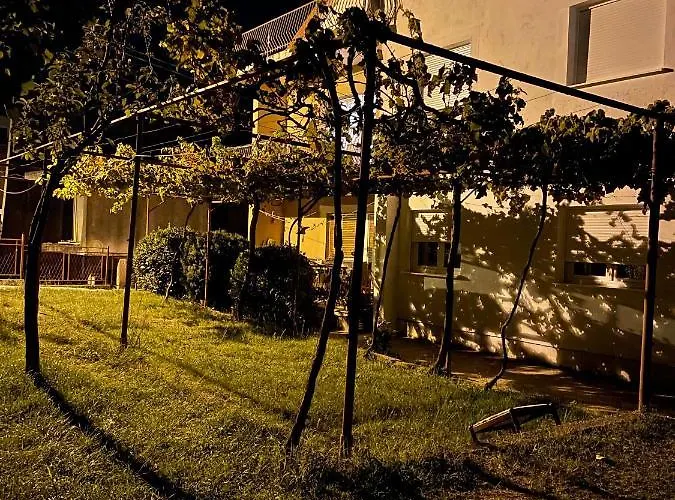 Entire Spacious Apartment With Free Parking
